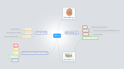 Mind Map: CÉLULA