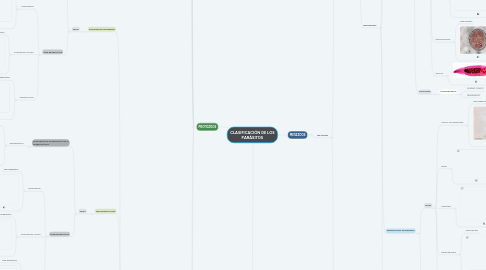 Mind Map: CLASIFICACIÓN DE LOS PARÁSITOS