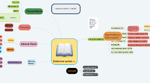 Mind Map: Endocrine system