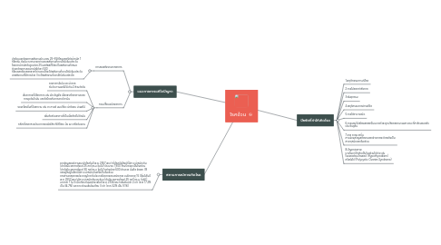 Mind Map: โรคอ้วน