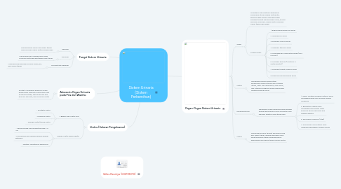 Mind Map: Sistem Urinaria (Sistem Perkemihan)