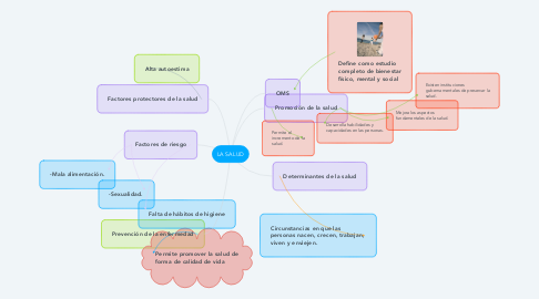 Mind Map: LA SALUD