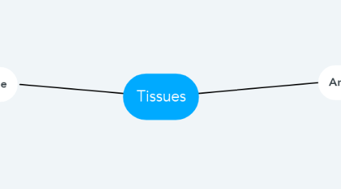 Mind Map: Tissues