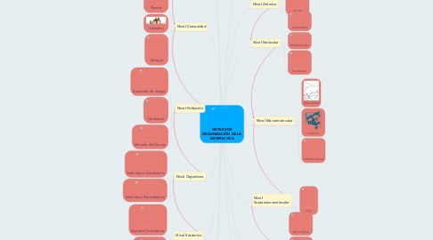 Mind Map: NIVELES DE ORGANIZACIÓN DE LA MATERIA VIVA