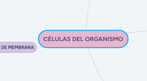 Mind Map: CÉLULAS DEL ORGANISMO