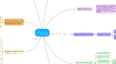 Mind Map: Identifying and facilitating students with special needs
