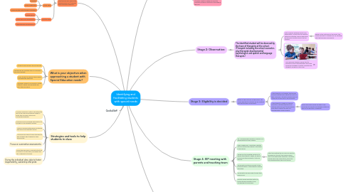 Mind Map: Identifying and facilitating students with special needs