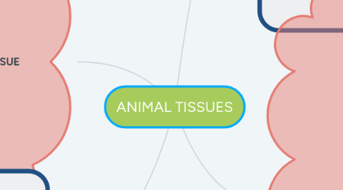 Mind Map: ANIMAL TISSUES