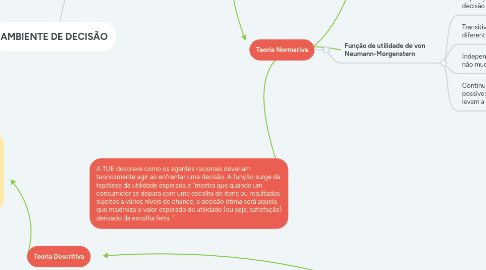 Mind Map: AMBIENTE DE DECISÃO