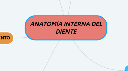 Mind Map: ANATOMÍA INTERNA DEL DIENTE