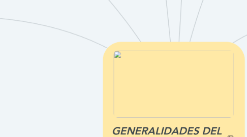 Mind Map: GENERALIDADES DEL PENSAMIENTO