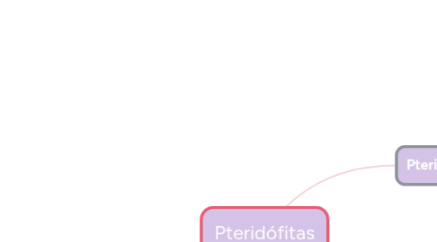 Mind Map: Pteridófitas