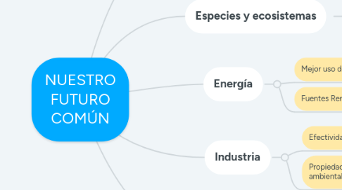 Mind Map: NUESTRO FUTURO COMÚN