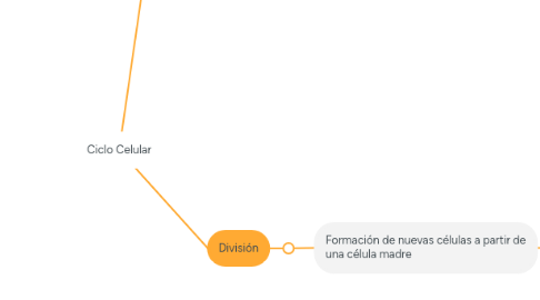 Mind Map: Ciclo Celular