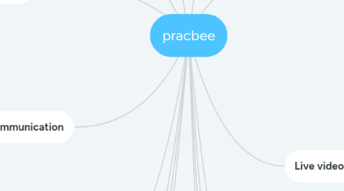 Mind Map: pracbee