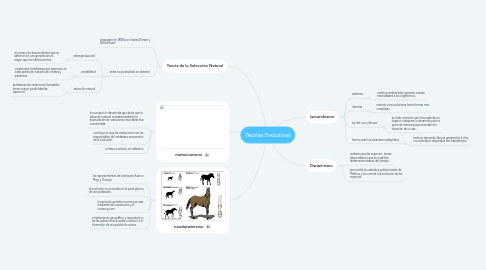 Mind Map: Teorías Evolutivas