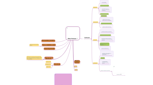 Mind Map: Reino Protozoo