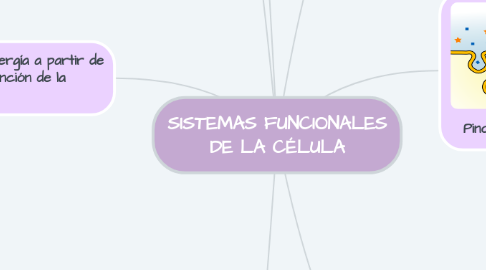 Mind Map: SISTEMAS FUNCIONALES DE LA CÉLULA