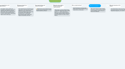 Mind Map: Tropical Rainforest Temperatures/weather