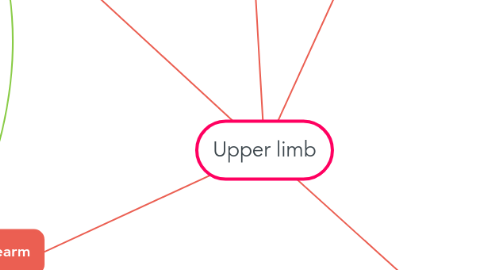 Mind Map: Upper limb