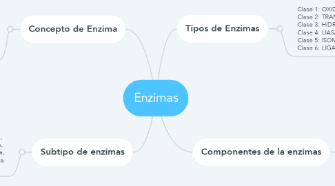 Mind Map: Enzimas