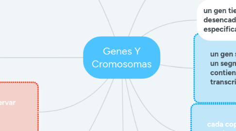 Mind Map: Genes Y Cromosomas