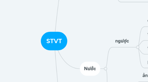 Mind Map: STVT