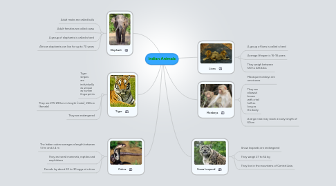 Mind Map: Indian Animals