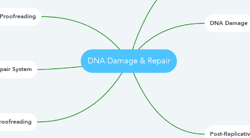Mind Map: DNA Damage & Repair