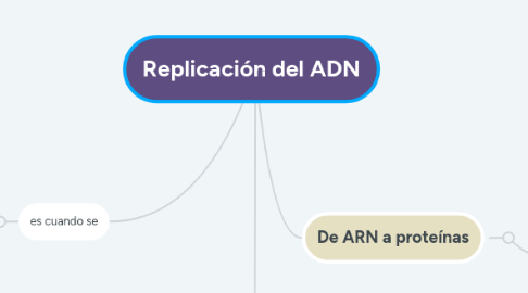 Mind Map: Replicación del ADN