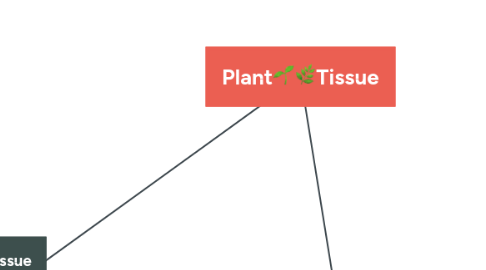 Mind Map: Plant🌱🌿Tissue