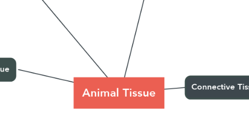 Mind Map: Animal Tissue