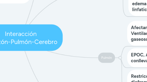 Mind Map: Interacción Corazón-Pulmón-Cerebro