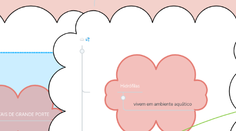 Mind Map: Classificação da floresta brasileira