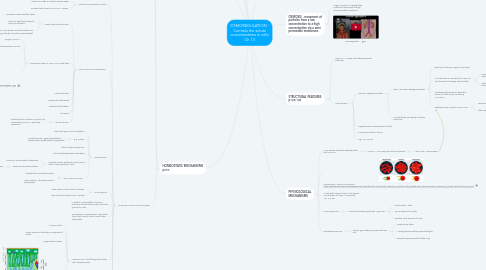 Mind Map: OSMOREGULATION - Controls the solute concentrations in cells Ch 13