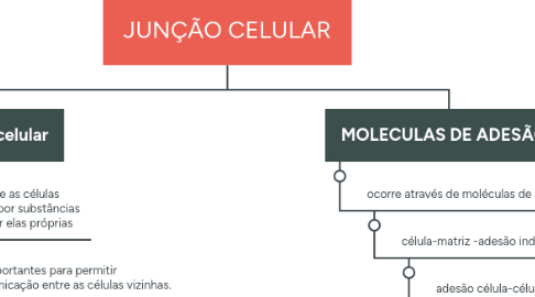 Mind Map: Processo das rochas