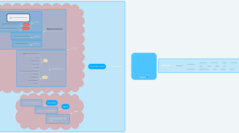 Mind Map: Tissues