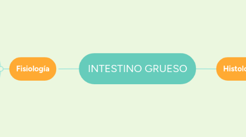 Mind Map: INTESTINO GRUESO