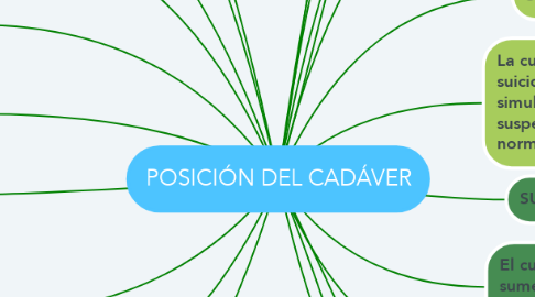 Mind Map: POSICIÓN DEL CADÁVER