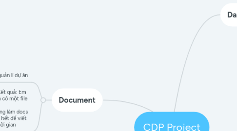 Mind Map: CDP Project