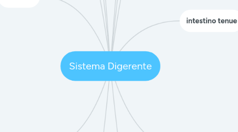 Mind Map: Sistema Digerente