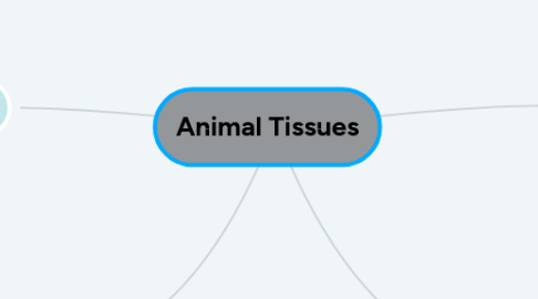 Mind Map: Animal Tissues