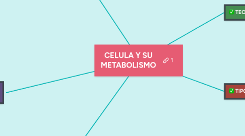 Mind Map: CELULA Y SU METABOLISMO