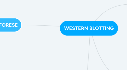 Mind Map: WESTERN BLOTTING