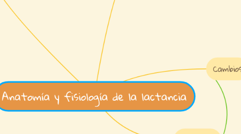 Mind Map: Anatomía y fisiología de la lactancia