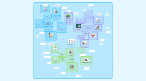 Mind Map: Los paradigmas, teorías y modelos de la enseñanza