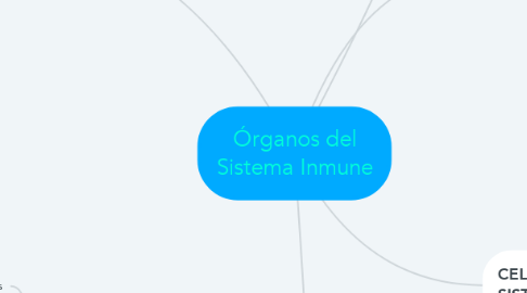 Mind Map: Órganos del Sistema Inmune