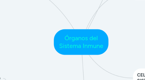 Mind Map: Órganos del Sistema Inmune