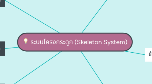 Mind Map: ระบบโครงกระดูก (Skeleton System)