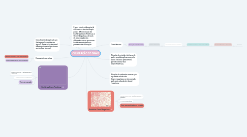 Mind Map: COLORAÇÃO DE GRAM